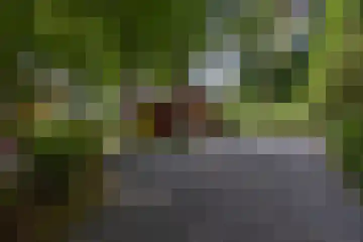 Duinenweg 5 3 Oisterwijk thumbnail 4