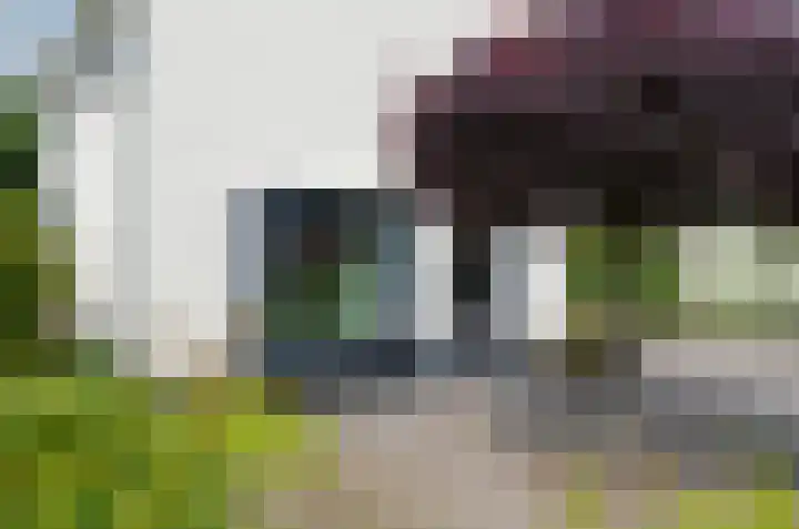 Duinerlaan 5 Eelde thumbnail 27