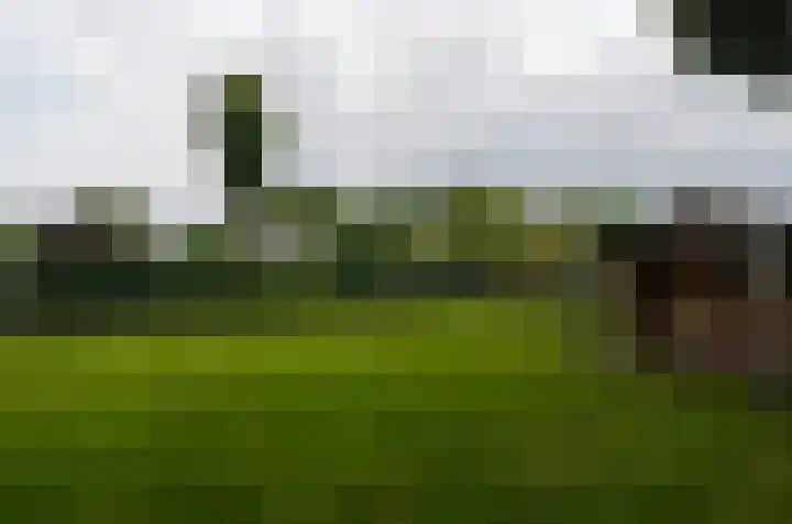 Duinerlaan 5 Eelde thumbnail 28