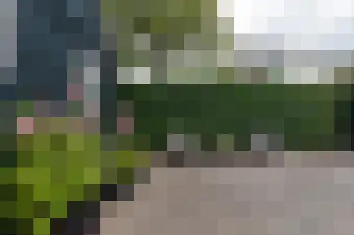 Duinerlaan 5 Eelde thumbnail 33