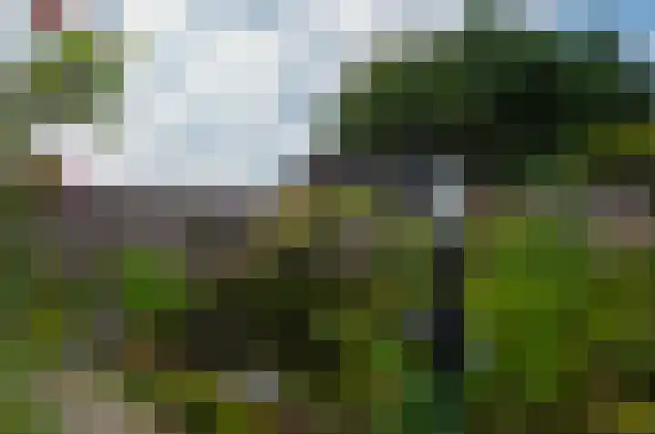 Duinerlaan 5 Eelde thumbnail 35