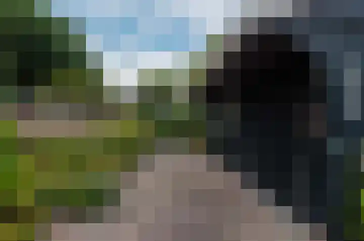 Duinerlaan 5 Eelde thumbnail 36