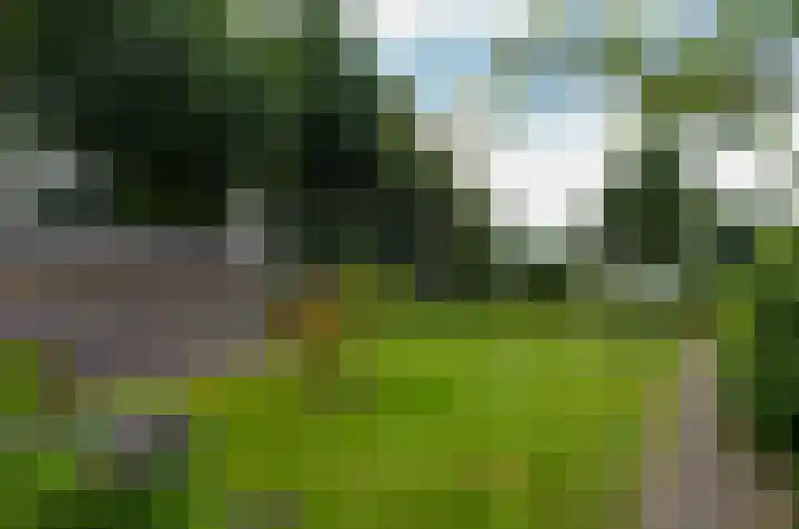 Duinerlaan 5 Eelde thumbnail 37