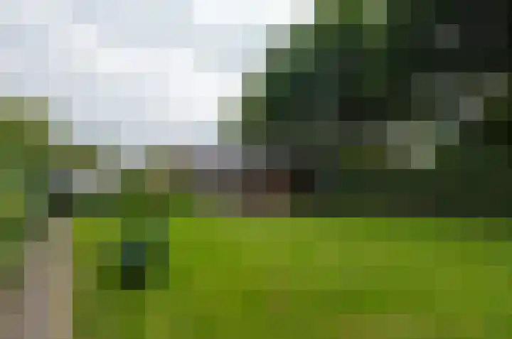 Duinerlaan 5 Eelde thumbnail 38