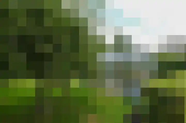 Duinerlaan 5 Eelde thumbnail 39