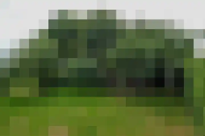 Duinerlaan 5 Eelde thumbnail 40