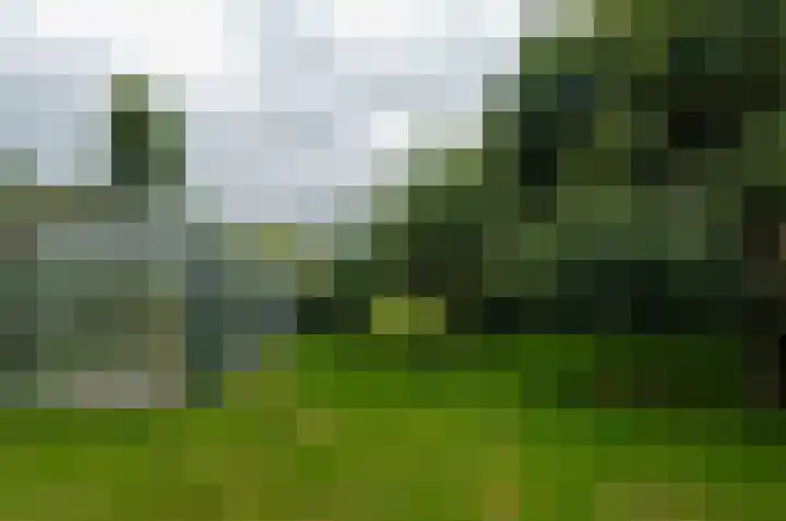 Duinerlaan 5 Eelde thumbnail 41