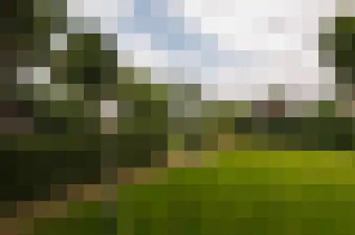Duinerlaan 5 Eelde thumbnail 42