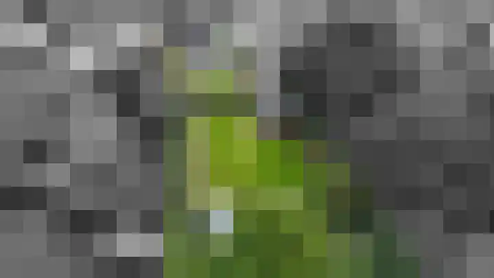 Duinerlaan 5 Eelde thumbnail 43