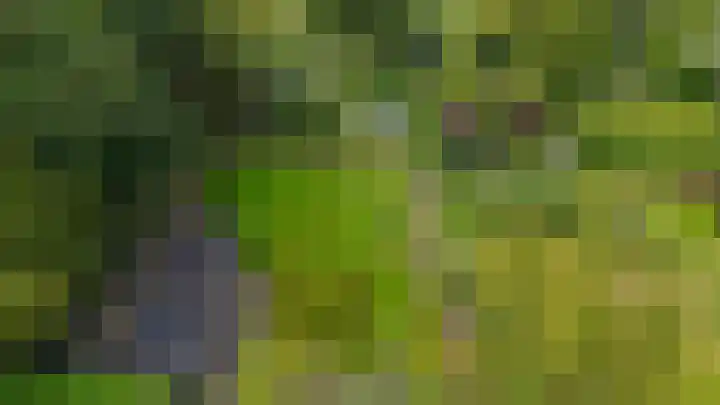Duinerlaan 5 Eelde thumbnail 44