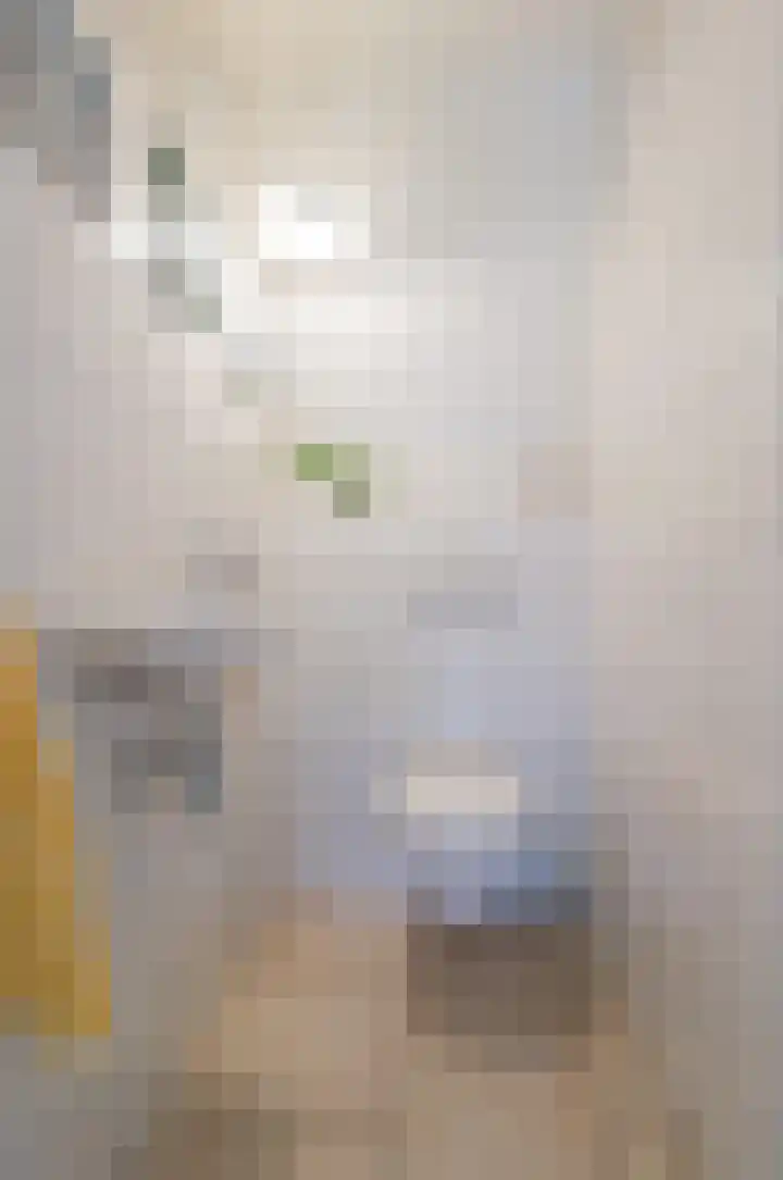 Duinerlaan 5 Eelde thumbnail 7