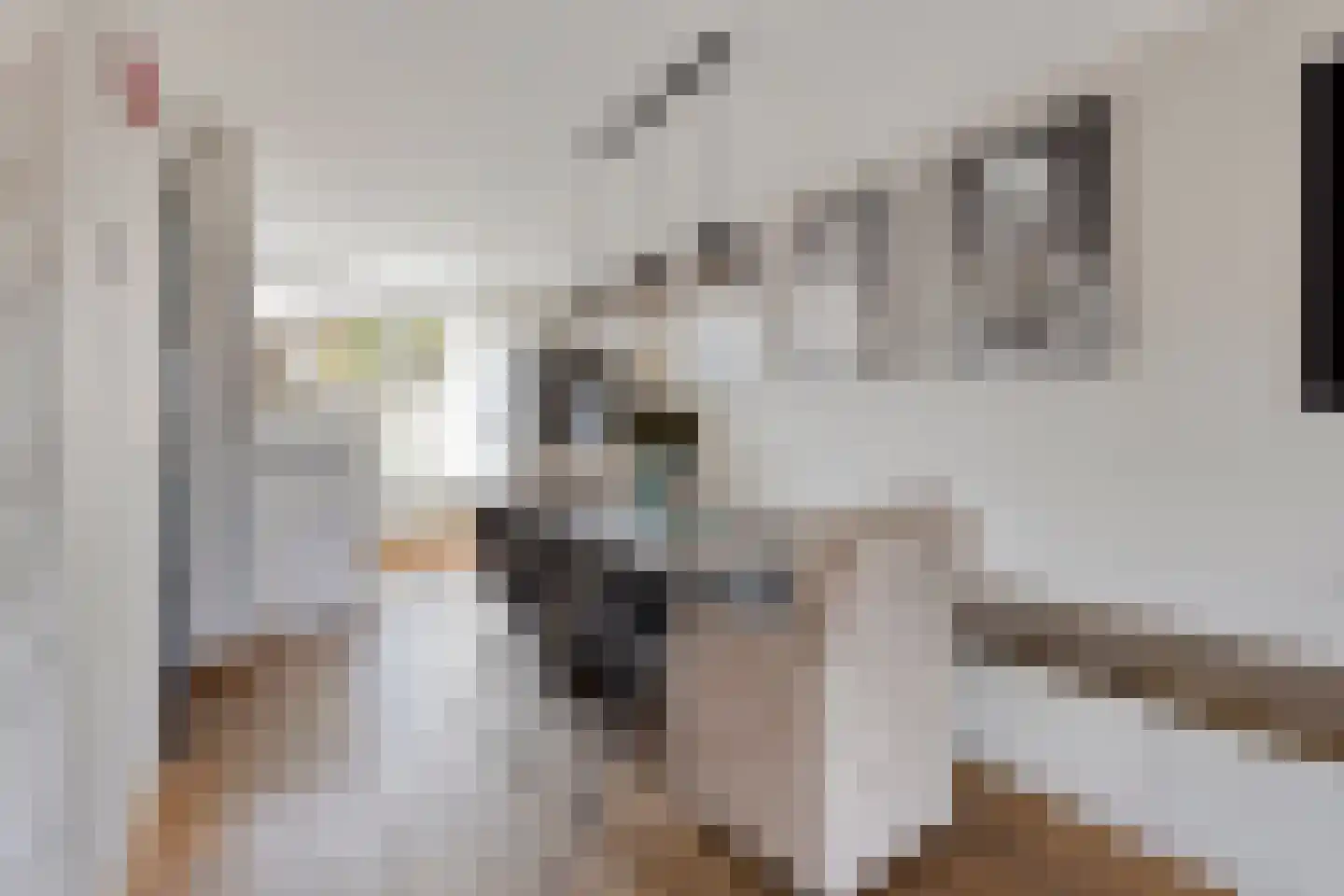 Duinhof 13 Made thumbnail 11