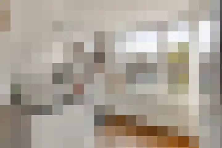 Duinhof 13 Made thumbnail 14