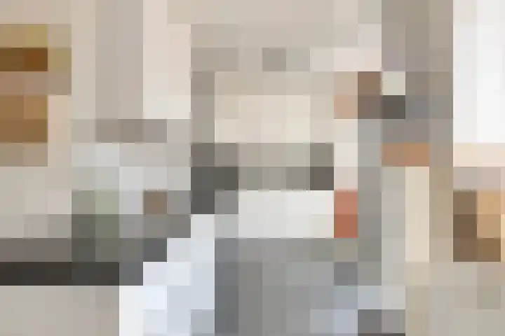 Duinhof 13 Made thumbnail 15