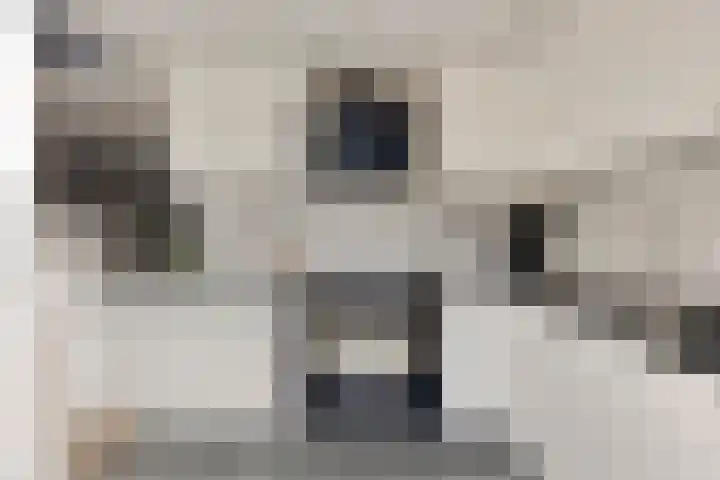 Duinhof 13 Made thumbnail 18