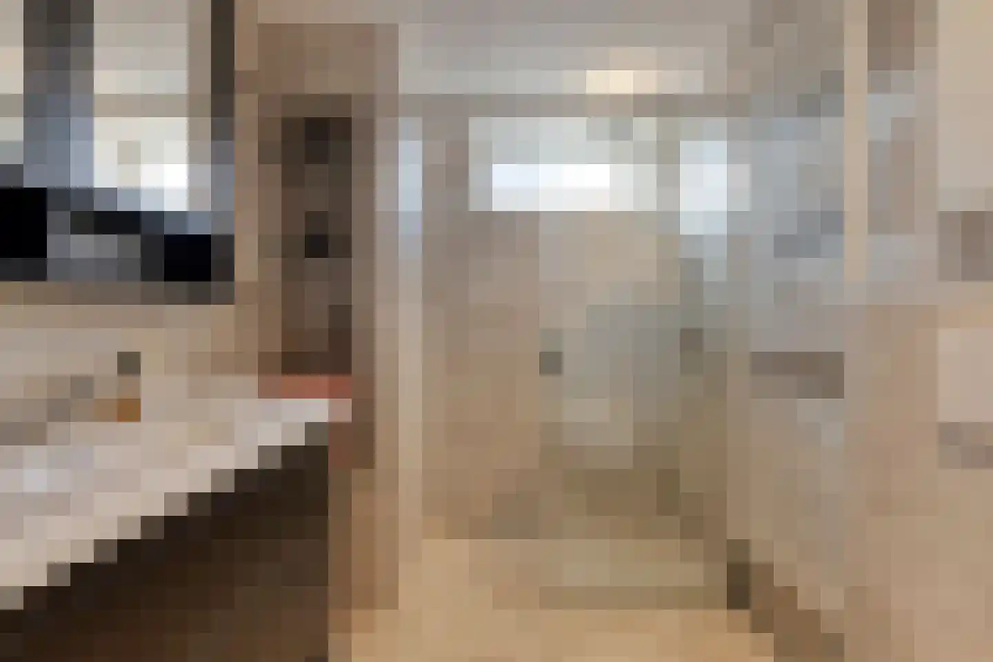 Duinhof 13 Made thumbnail 24