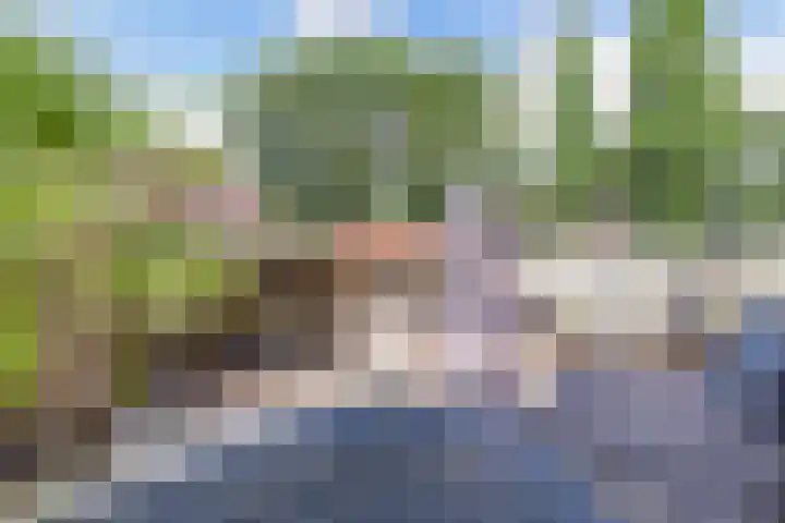 Duinhof 13 Made thumbnail 31