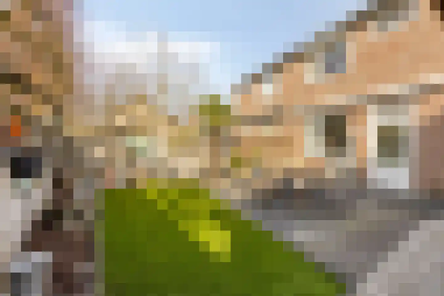 Duinhof 13 Made thumbnail 34