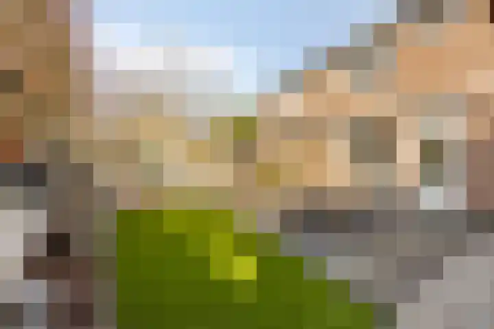 Duinhof 13 Made thumbnail 34