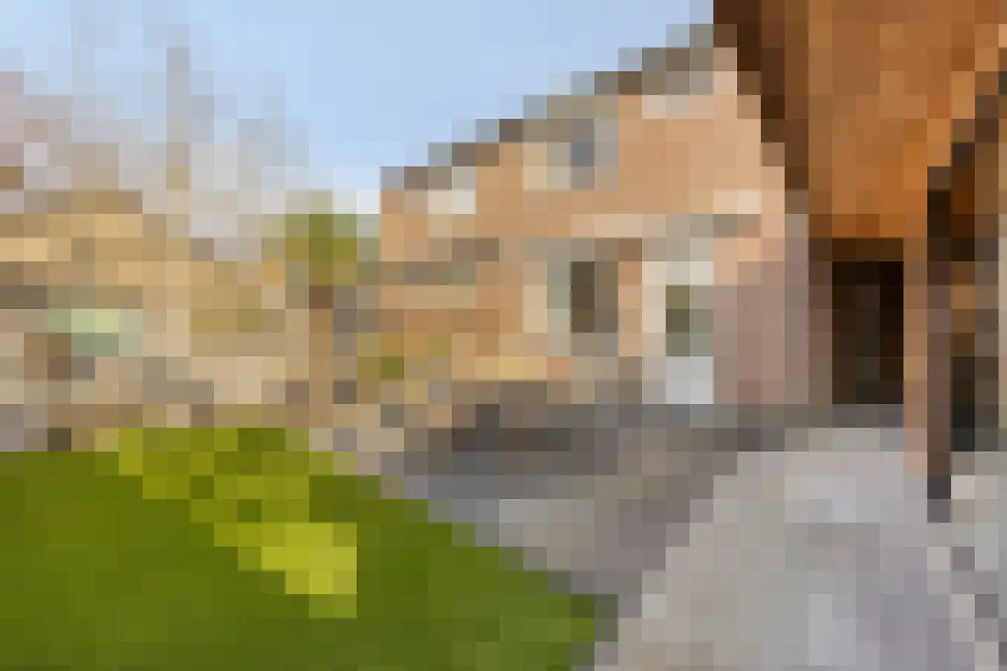 Duinhof 13 Made thumbnail 35