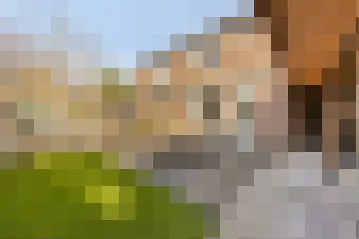 Duinhof 13 Made thumbnail 35