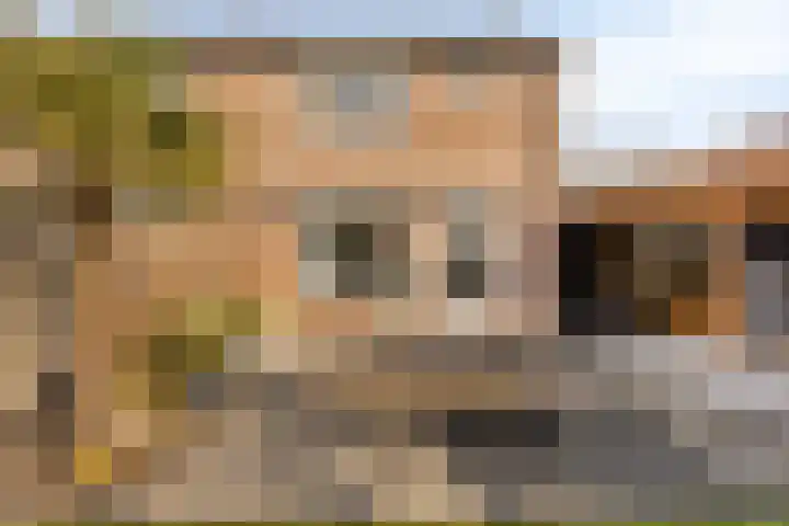 Duinhof 13 Made thumbnail 36