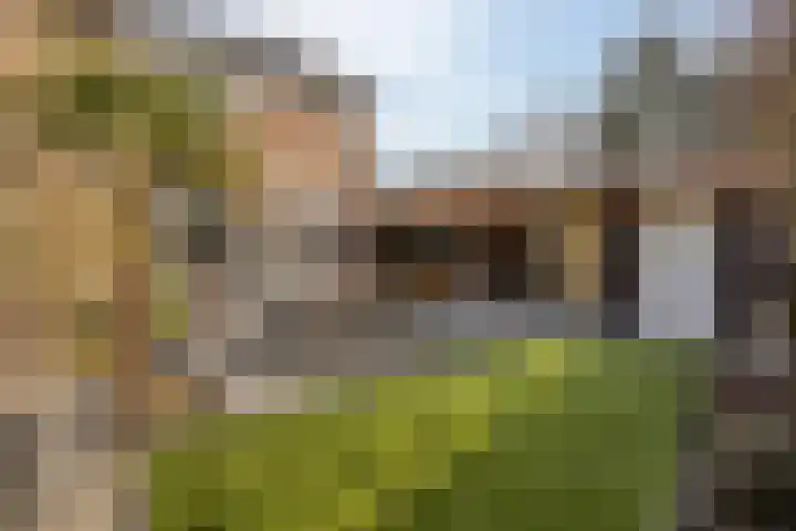 Duinhof 13 Made thumbnail 37