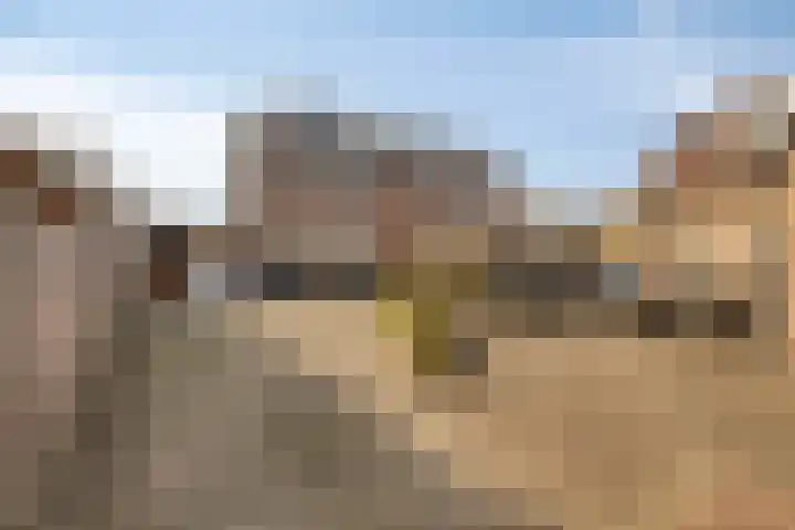 Duinhof 13 Made thumbnail 4