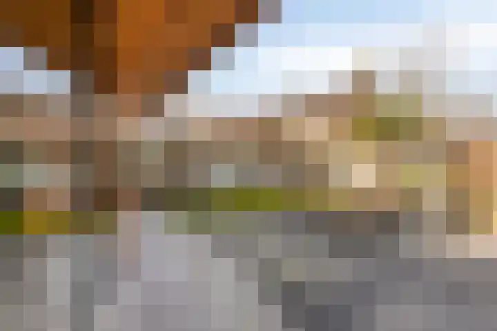 Duinhof 13 Made thumbnail 41