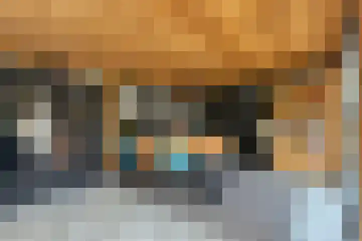 Duinhof 13 Made thumbnail 42