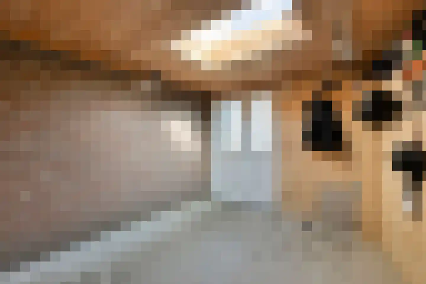 Duinhof 13 Made thumbnail 46