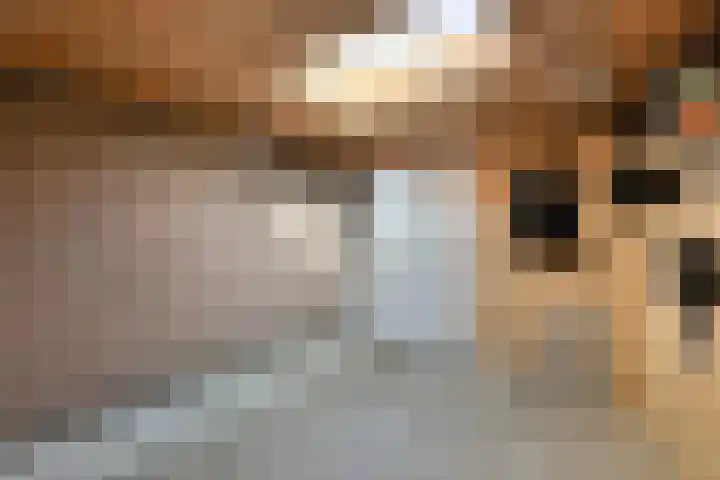 Duinhof 13 Made thumbnail 46