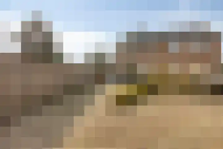 Duinhof 13 Made thumbnail 50