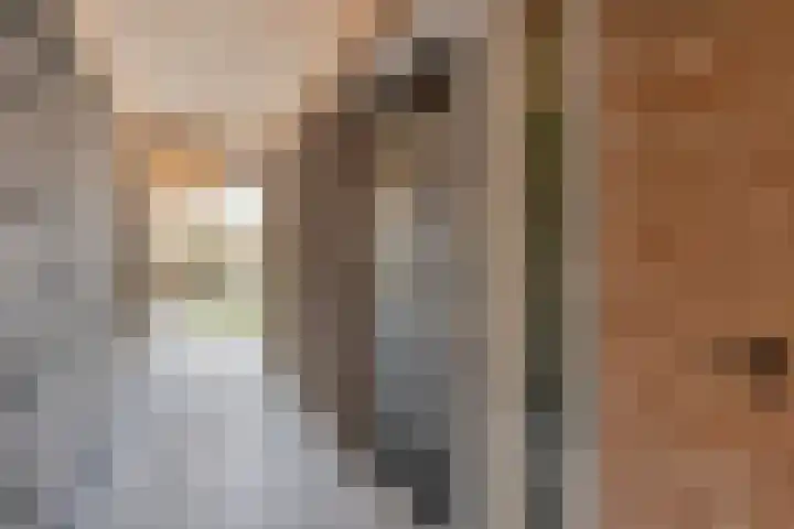 Duinhof 13 Made thumbnail 51