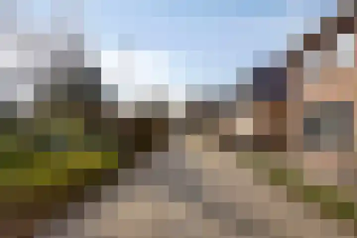 Duinhof 13 Made thumbnail 52
