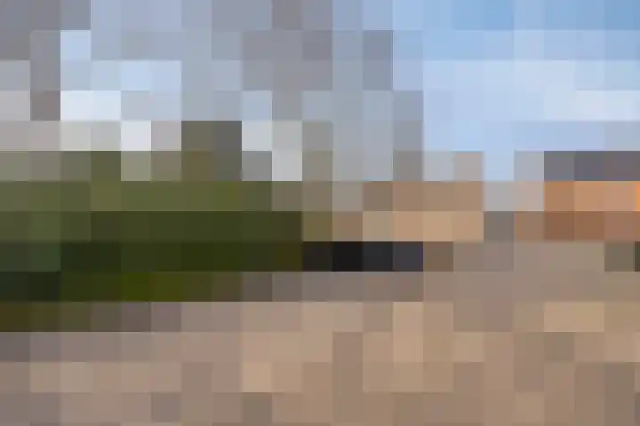 Duinhof 13 Made thumbnail 53