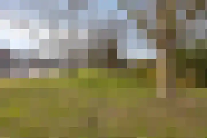Duinhof 13 Made thumbnail 54