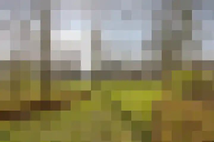 Duinhof 13 Made thumbnail 55
