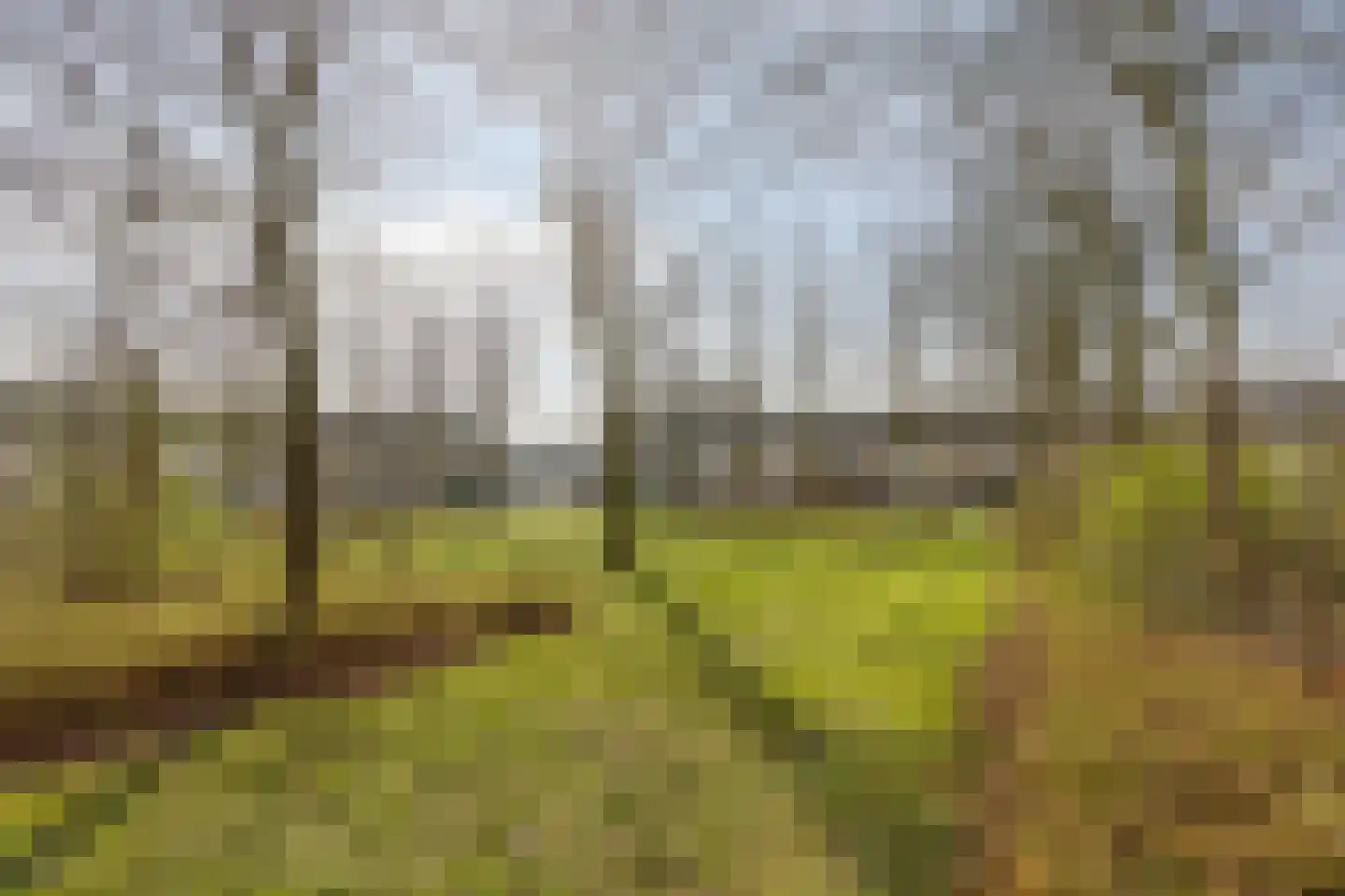 Duinhof 13 Made thumbnail 55