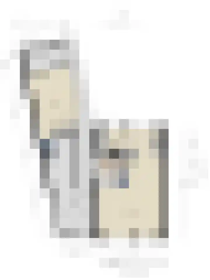 Duinhof 13 Made thumbnail 56