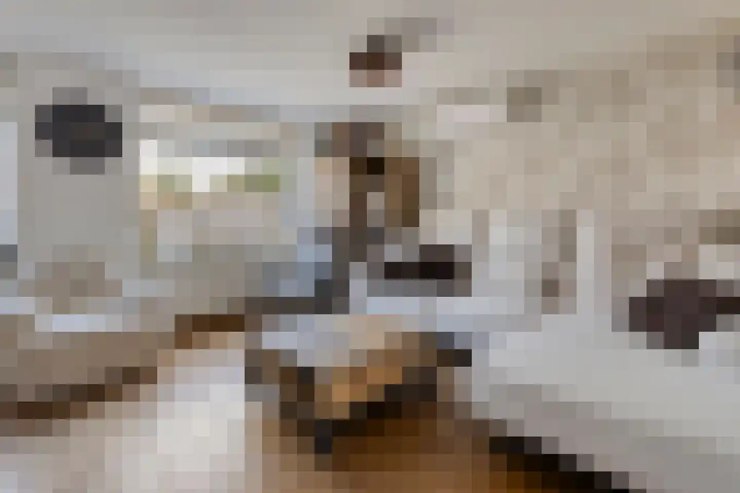 Duinhof 13 Made thumbnail 6