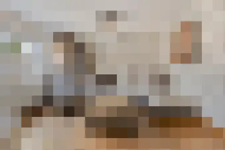 Duinhof 13 Made thumbnail 7
