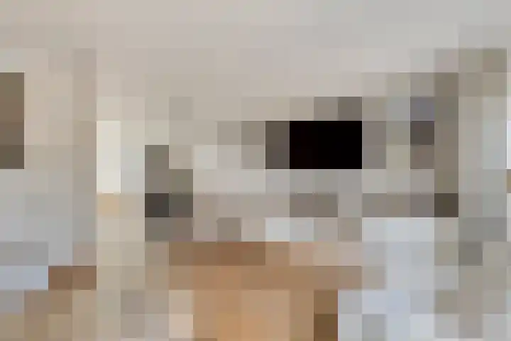 Duinhof 13 Made thumbnail 9