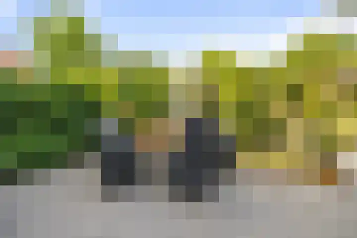 Duinhof 27 Den Helder thumbnail 11