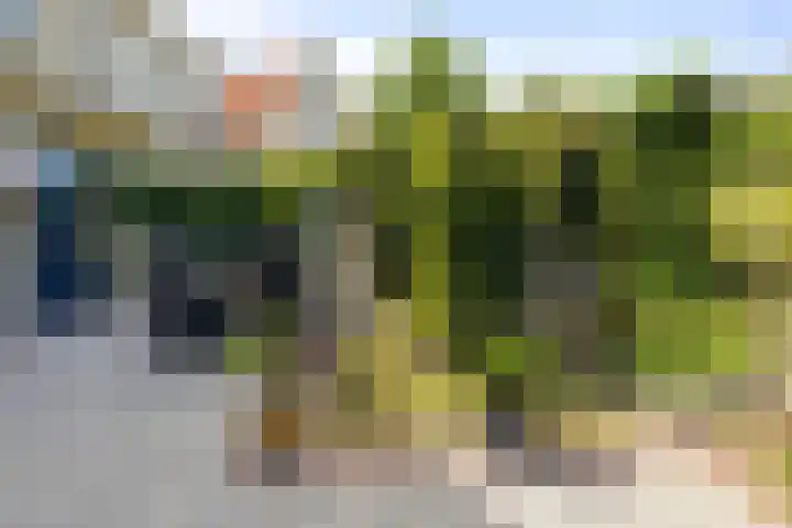 Duinhof 27 Den Helder thumbnail 14