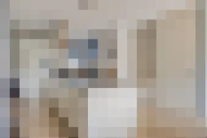 Duinhof 27 Den Helder thumbnail 20