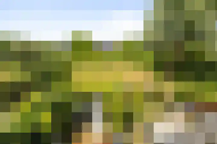 Duinhof 27 Den Helder thumbnail 20