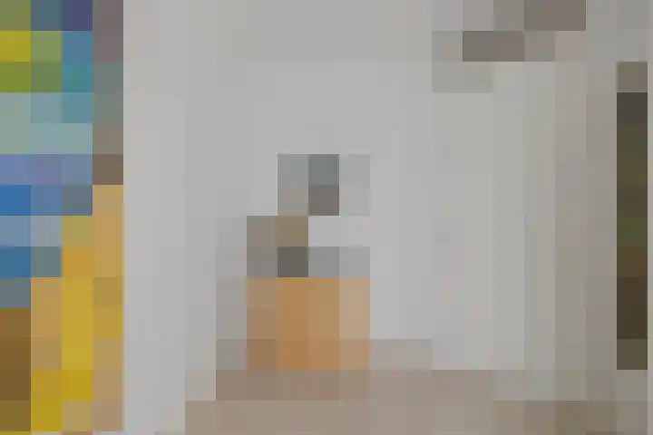 Duinhof 27 Den Helder thumbnail 24