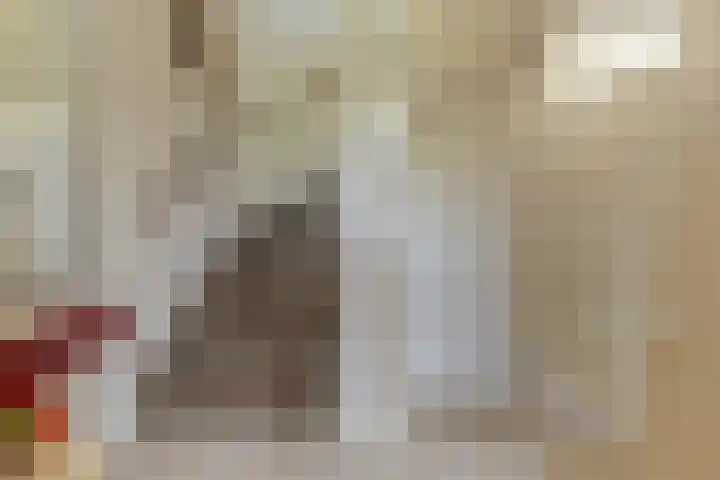Duinhof 27 Den Helder thumbnail 29