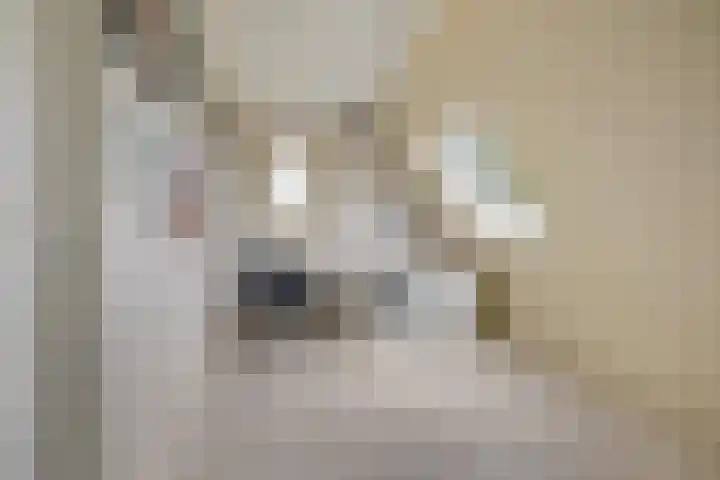 Duinhof 27 Den Helder thumbnail 33